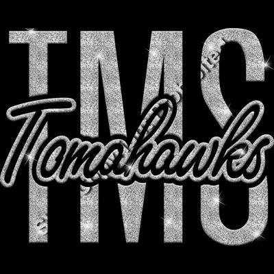 GLT95 SILVER GLITTER Thumbnail