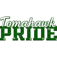 GLT59 GREEN GLITTER Thumbnail